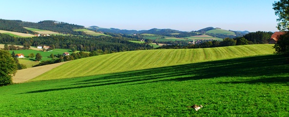 Bucklige Welt
