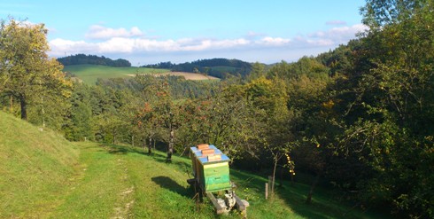 Bucklige Welt