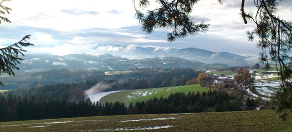 Bucklige Welt