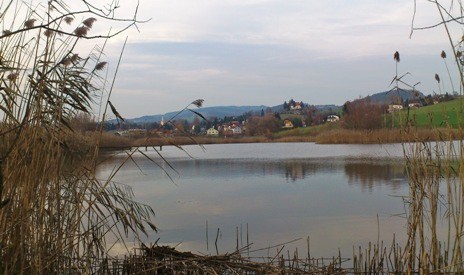 Bucklige Welt