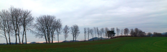 Bucklige Welt