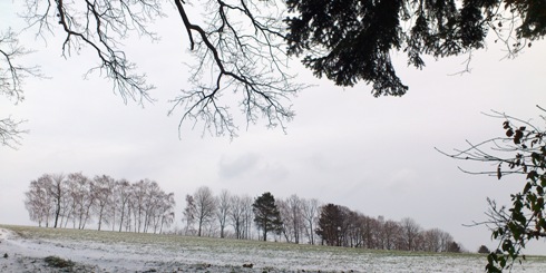 Bucklige Welt