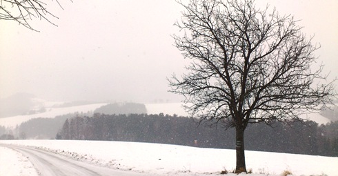 Bucklige Welt
