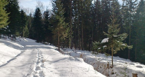 Bucklige Welt