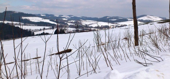 Bucklige Welt