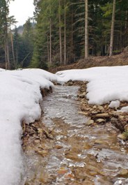 Bucklige Welt