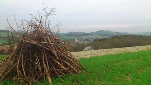 Bucklige Welt