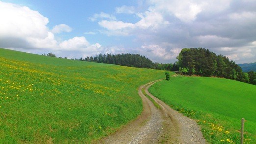 Bucklige Welt