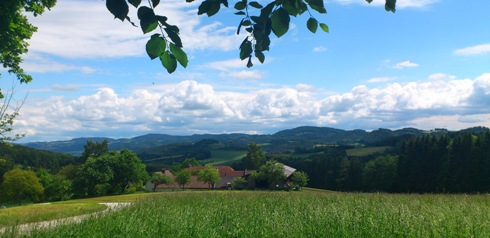 Bucklige Welt