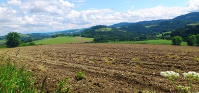 Bucklige Welt