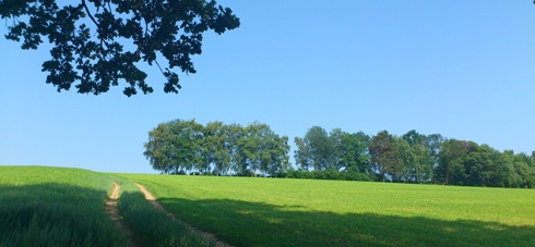 Bucklige Welt