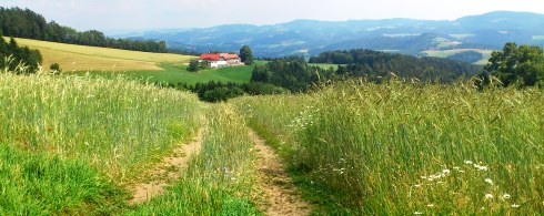 Bucklige Welt