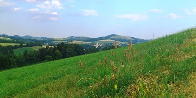 Bucklige Welt