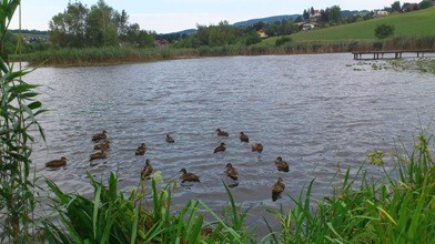 Bucklige Welt