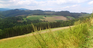Bucklige Welt