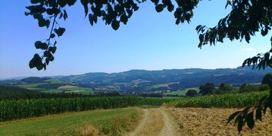 Bucklige Welt