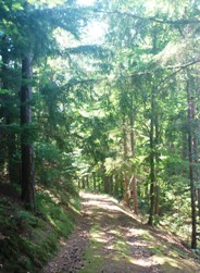 Bucklige Welt