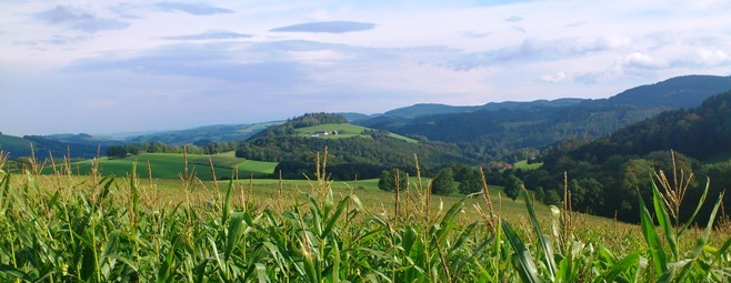 Bucklige Welt