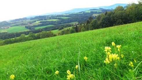 Bucklige Welt