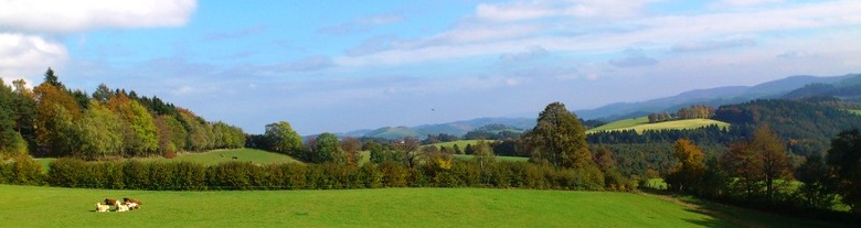 Bucklige Welt