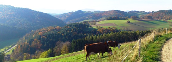 Bucklige Welt
