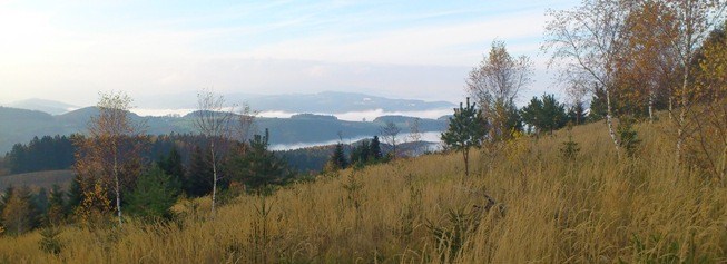Bucklige Welt