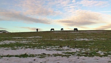 Bucklige Welt