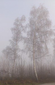 Bucklige Welt