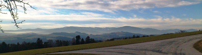 Bucklige Welt - ohne Stecken