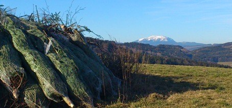 Bucklige Welt - ohne Stecken