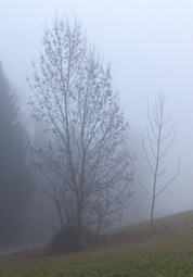 Bucklige Welt