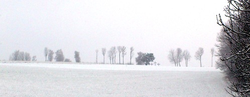 Bucklige Welt - ohne Stecken