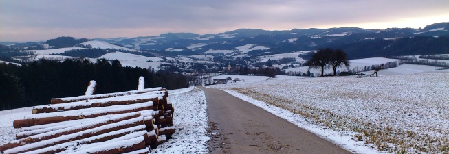 Bucklige Welt - ohne Stecken