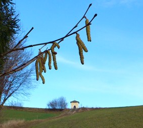 Bucklige Welt
