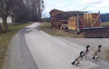 Bucklige Welt