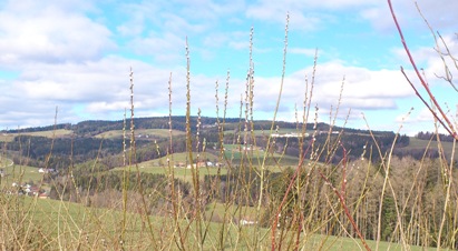Bucklige Welt