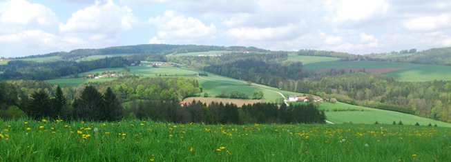 Bucklige Welt