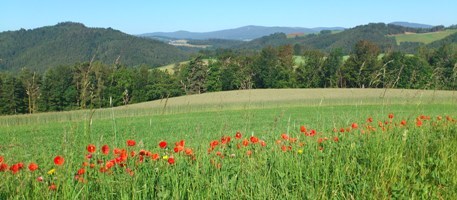 Bucklige Welt