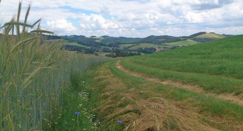 Bucklige Welt