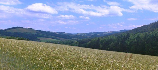 Bucklige Welt