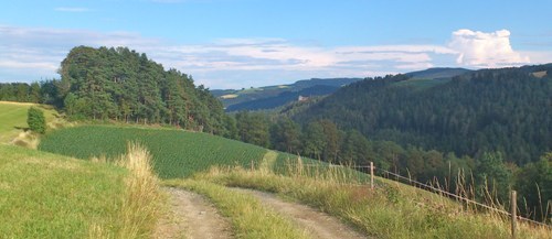 Bucklige Welt