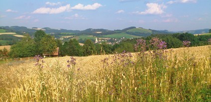 Bucklige Welt