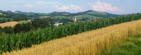 Bucklige Welt