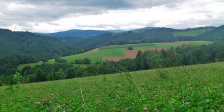 Bucklige Welt
