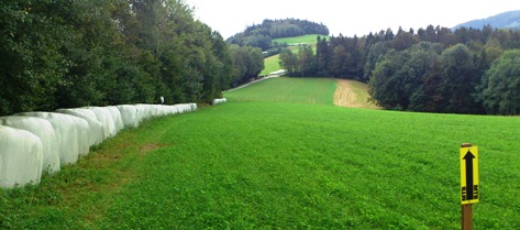 Bucklige Welt