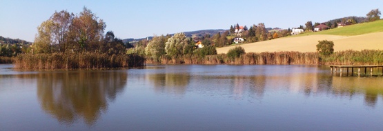 Bucklige Welt
