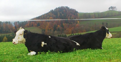 Bucklige Welt