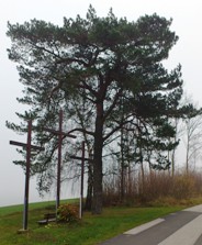 Bucklige Welt