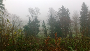 Bucklige Welt