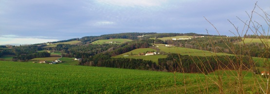 Bucklige Welt